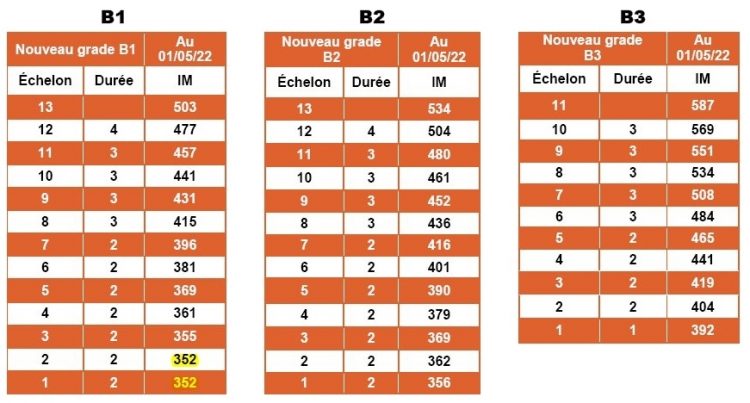 Salaires : Nouvelles Grilles Indiciaires Types Pour Les Catégories C, B ...